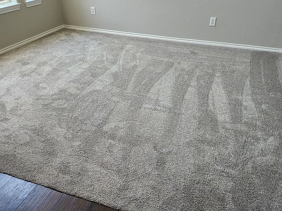 Brand New Carpet