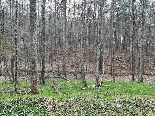 Butler Rd Lot 4, Decatur, TN 37322