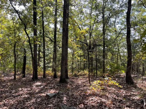 985 Whispering Pines Loop, Antlers, OK 74523