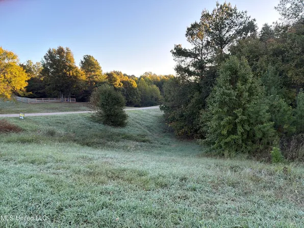 334 Byhalia Creek Farms Rd W, Byhalia, MS 38611