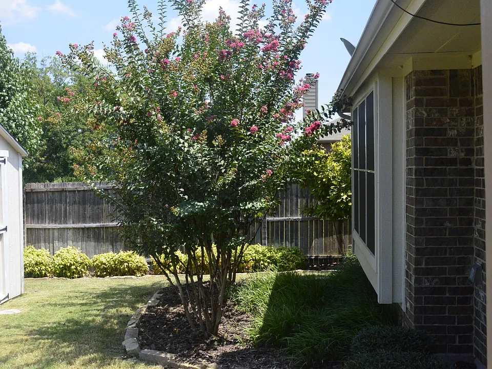 981 Crockett Dr