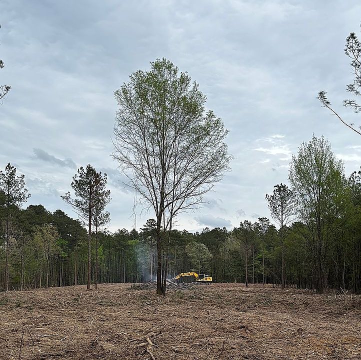 2nd image of 161 Highway 1199
