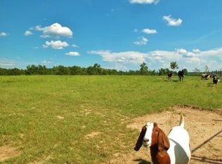 727 Camp Eunice Rd LOT 0, Roberta, GA 31078