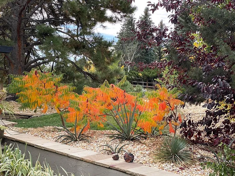 front gardens