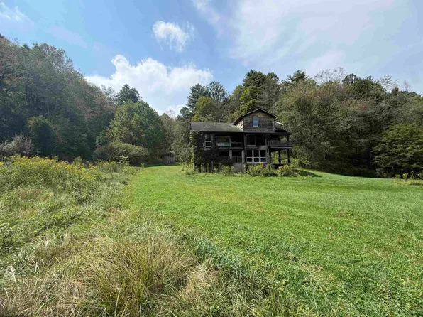 1742 Rush Run Rd, Burton, WV 26562
