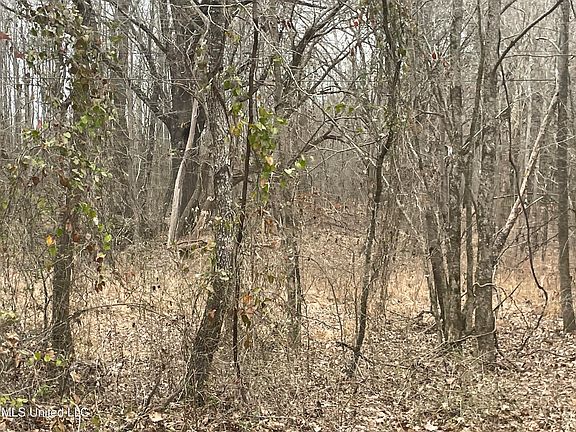 4th image of Looxahoma Tyro Rd Lot 16