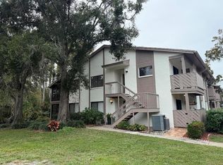 612 Baldwin Ave APT C, Safety Harbor, FL 34695