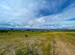 SW 11th St, Cedaredge, CO 81413