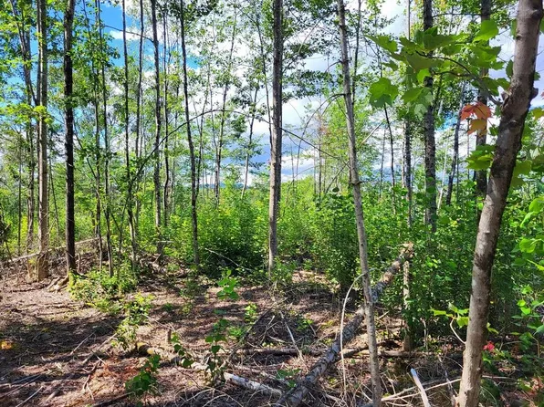 Lot 2 Rangeley Road, Phillips, ME 04966