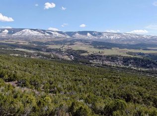 55 Road, Collbran, CO 81624