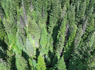 Forgotten 400 Survey #2677-PARCEL 3, Elk City, ID 83525