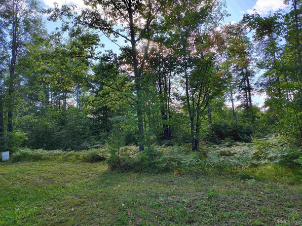 1709 E Little Dr, Little Lake, MI 49833