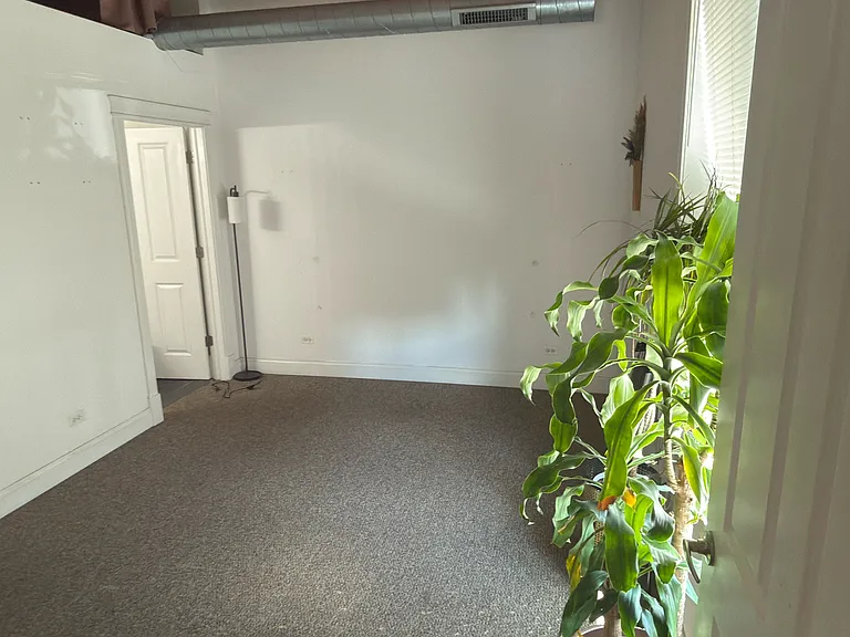 500 N Damen Ave #205 — Photo 68
