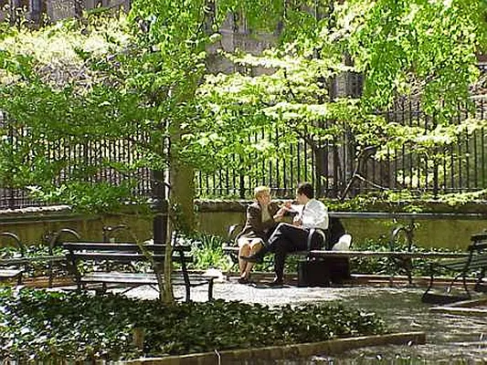 Rented by Steven Corcoran Real Estate | media 59