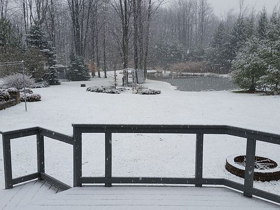 Backyard with pond