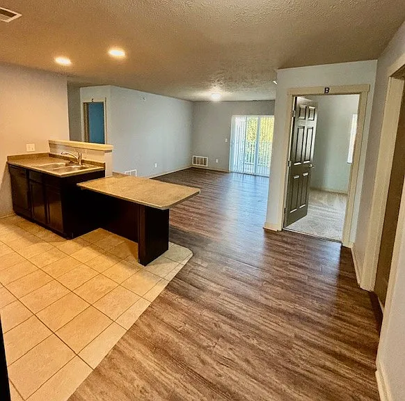 Kitchen and living room