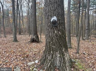 TRACT 3 135/ Acres, Robertsdale, PA 16674