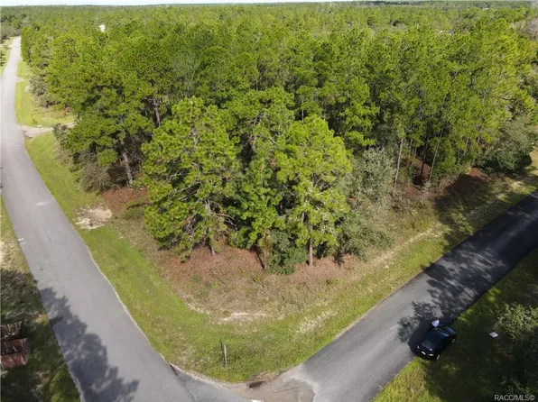 6420 N Airmont Dr, Citrus Springs, FL 34433