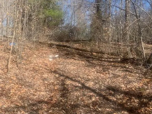 0 Lahore Rd Lot 1, Orange, VA 22960