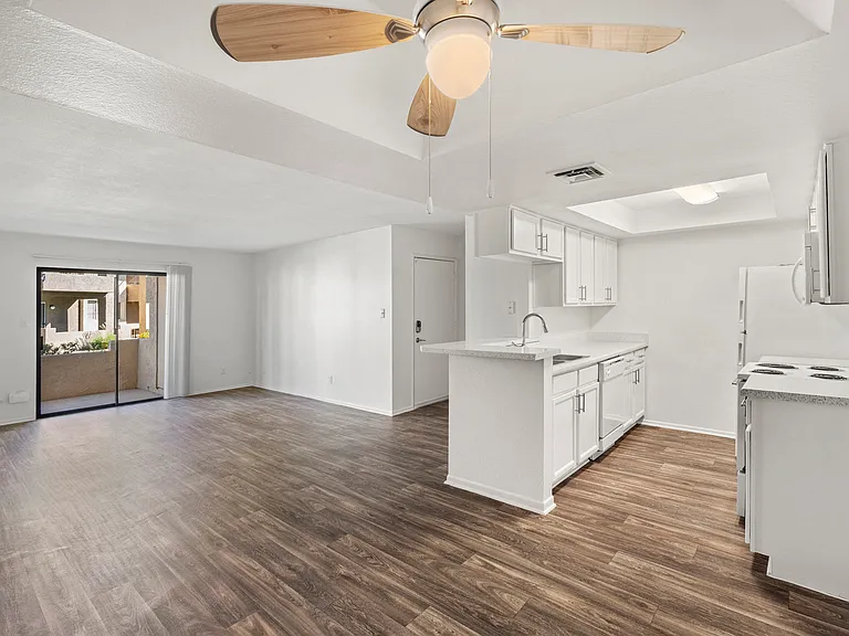 Living Room and Kitchen Area