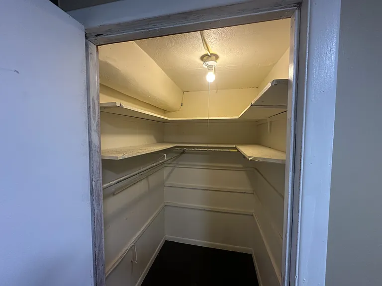 Bonus Closet in Living Room