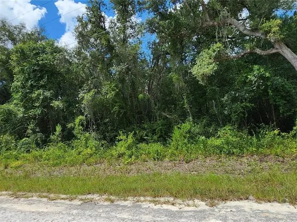 0 Northwest Ave #6, Webster, FL 33597