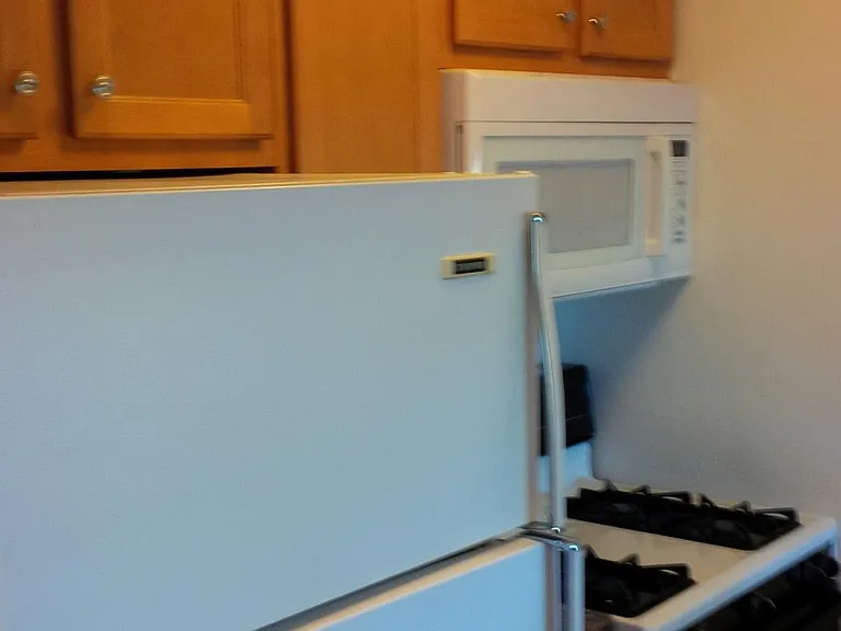1895 Tall Oaks Dr #3501 — Photo 3