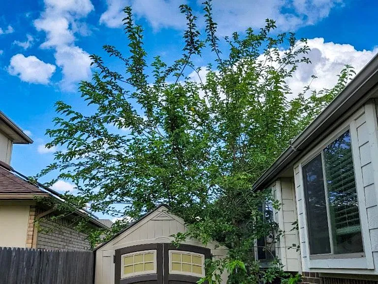 705 Wiltshire Dr — Photo 14