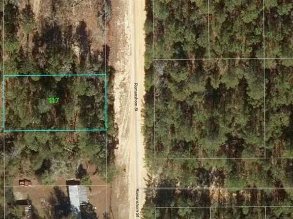 117 Romanshorn St #153, Interlachen, FL 32148