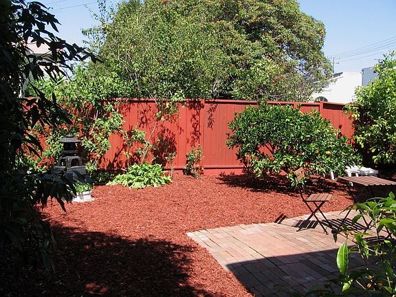 Back Yard w/ Mature Fruit Trees
