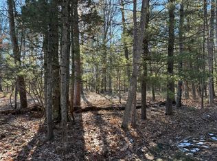 PARCEL Coates Hwy #A, Harrietta, MI 49638