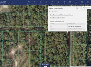 SW 9th Pl LOT 1, Ocala, FL 34481