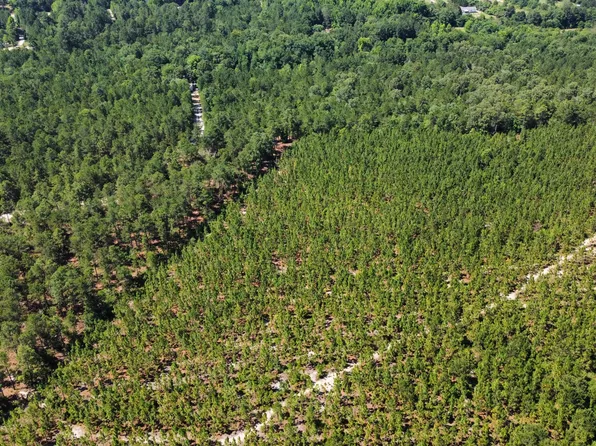 0 Dixie St, Leesville, SC 29070