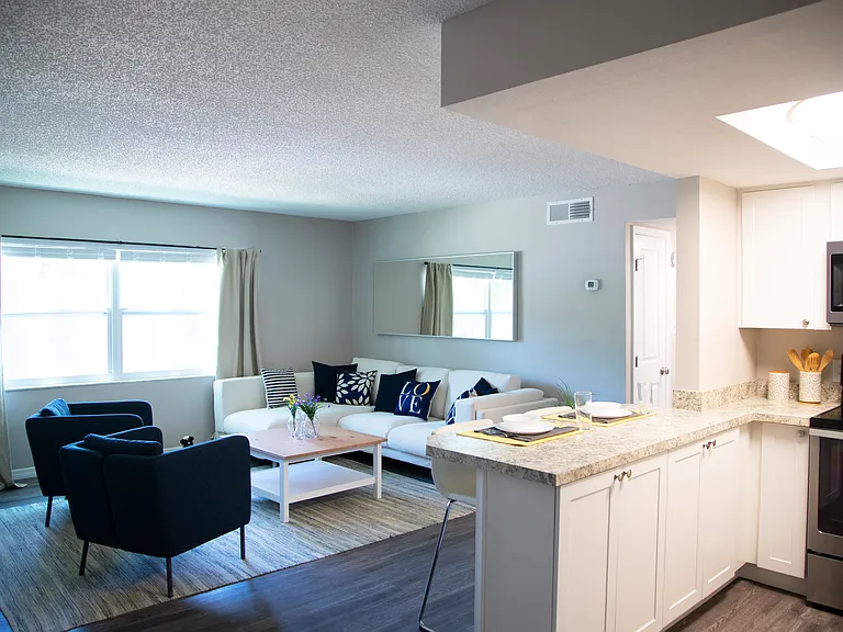 Kitchen and living room