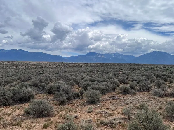 Tract 1A Bad Dog Road, El Prado, NM 87529-0000