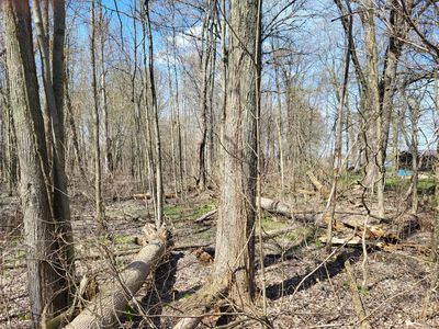 Burton Dr, Allegan, MI, 49010