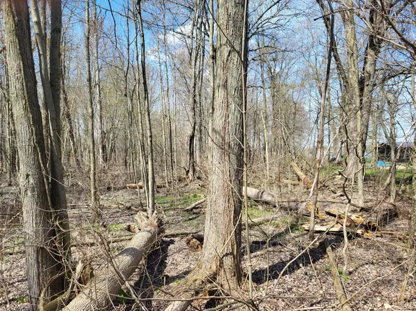 Burton Dr, Allegan, MI 49010