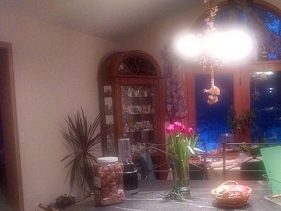 kitchen - dining area