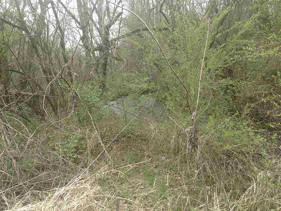 2nd image of Dumplin Loop Rd