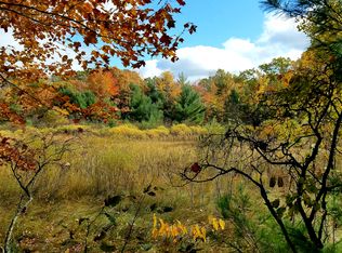 18755 Stronach Dam Rd, Wellston, MI 49689