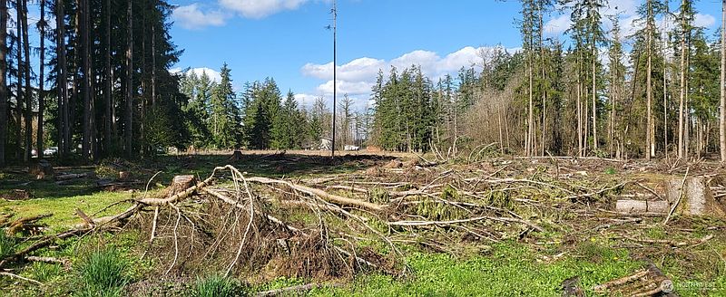 3rd image of 444 Meier Road