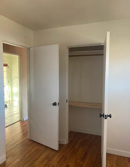 Bedroom 1 closet.