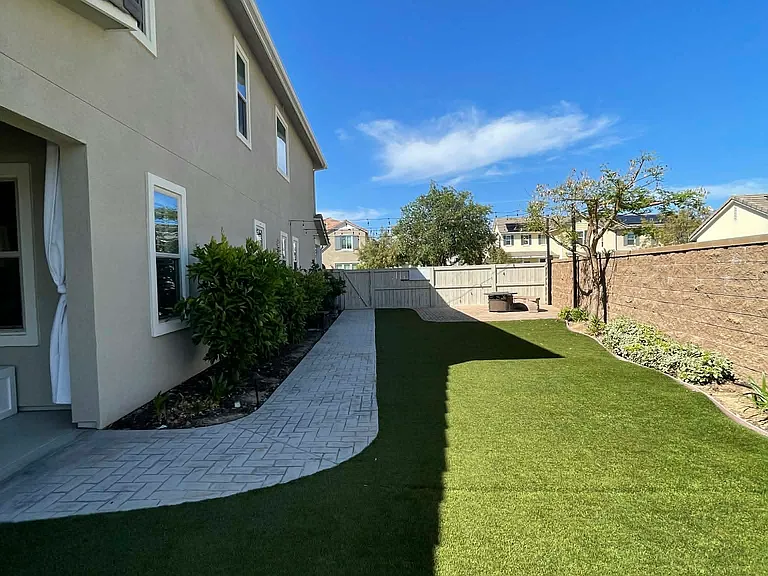 Backyard with citrus trees on left side.
