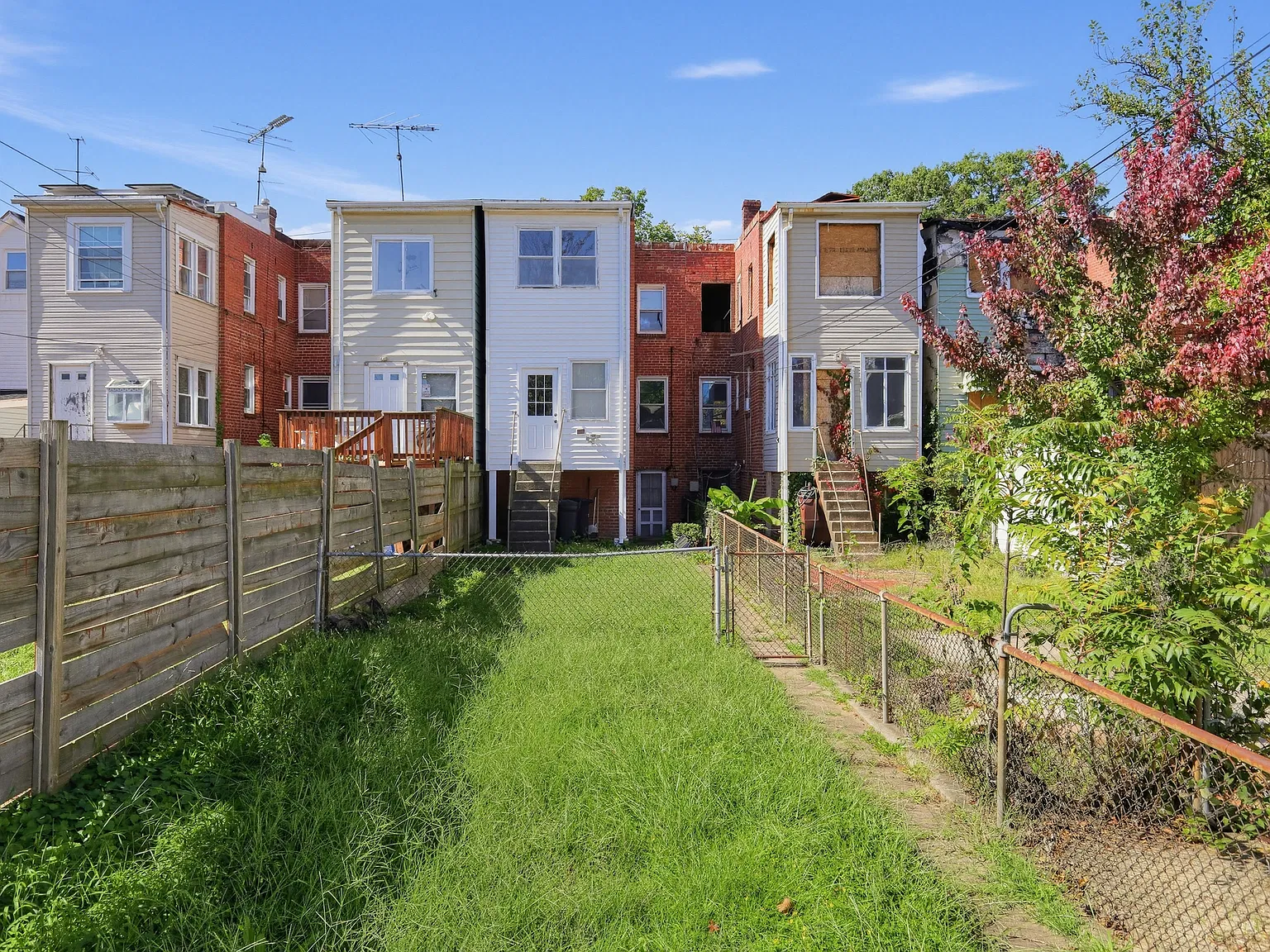 3 bed, 1238 sqft, $3,850 — Photo 3