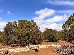 Hawk Rd, Show Low, AZ 85901