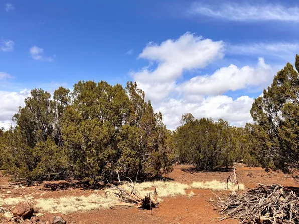 Hawk Rd, Show Low, AZ 85901