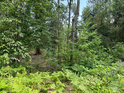 4649 Wah Wah Soo Dr, Gaylord, MI, 49735