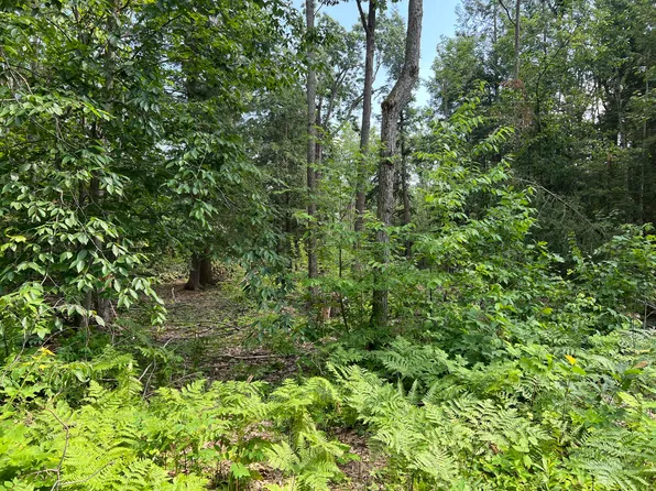 4649 Wah Wah Soo Dr, Gaylord, MI 49735