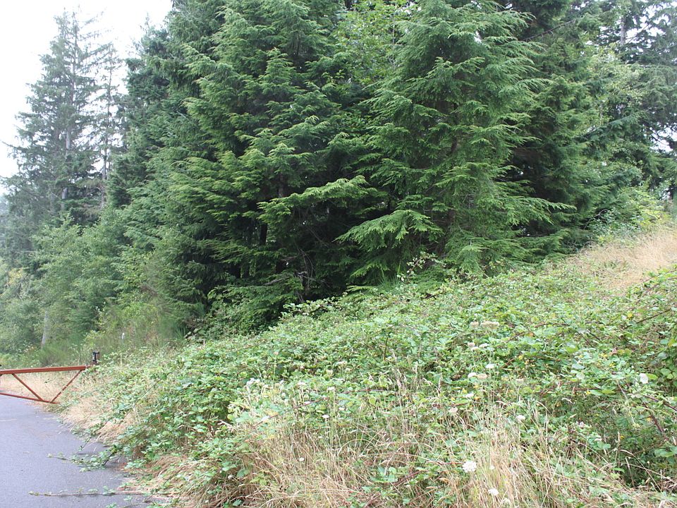2nd image of Annabel Ave