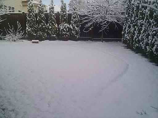 Back courtyard snow